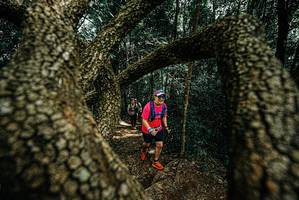 BIB: 
                            <button type="button" onclick="openModal(25703756)" class="btn btn-primary btn-sm float-right btn-popup" data-toggle="modal" data-target=".modal-high-quality">
                        <i class="fas fa-shopping-cart"></i> Add to Cart
                    </button>
                                            <button type="button" onclick="isThisMe(25703756, true)" class="btn btn-success btn-sm float-right btn-popup btn-isme hidden" data-toggle="tooltip" data-placement="bottom" title="นี่คือรูปของคุณใช่ไหม คลิกที่นี่เพื่อเอาเข้าอัลบั้ม">
                        <i class="fas fa-plus"></i> Add to album
                    </button>
                    <button type="button" onclick="isThisMe(25703756, false)" class="btn btn-warning btn-sm float-right btn-popup btn-isnotme hidden">
                        <i class="fas fa-ban"></i> Remove from album
                    </button>